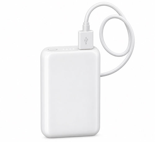 Charging Bank